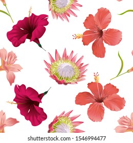 Pink Amaryllis. Pink Protea. Red Hibiscus. Vector illustration. Seamless background pattern. Floral botanical flower. Wild leaf wildflower isolated. Exotic tropical hawaiian jungle. Fabric wallpaper.