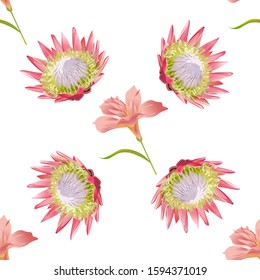 Pink Amaryllis. Pink Protea. Vector illustration. Seamless background pattern. Floral botanical flower. Wild leaf wildflower isolated. Exotic tropical hawaiian jungle. Fabric wallpaper print texture.