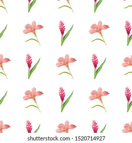 Pink Amaryllis. Red and Pink Ginger. Vector illustration. Seamless background pattern. Floral botanical flower. Wild leaf wildflower isolated. Exotic tropical hawaiian jungle. Fabric wallpaper print.