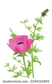 Flor de Vector gráfica de anémona rosa para libro de cuentos, revista o uso multipropósito