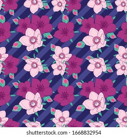 Color rosa anemónico sin fisuras sobre fondo morado oscuro con rayas