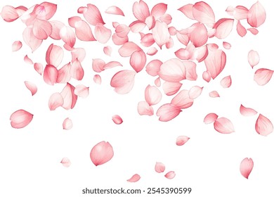 Pétalos voladores de flores de manzana rosa aislados en blanco. Fondo de salón de spa de belleza natural. Pétalos de sakura japoneses confeti de temporada, Elementos en flor volando. Diseño de piezas de flores de cerezo en caída.