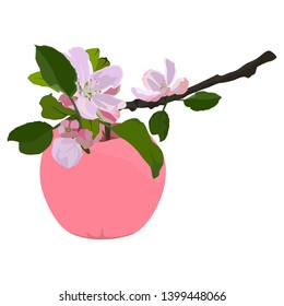 Pink apple on apple tree branch in blossom, vector flat style design illustration isolated on white background.