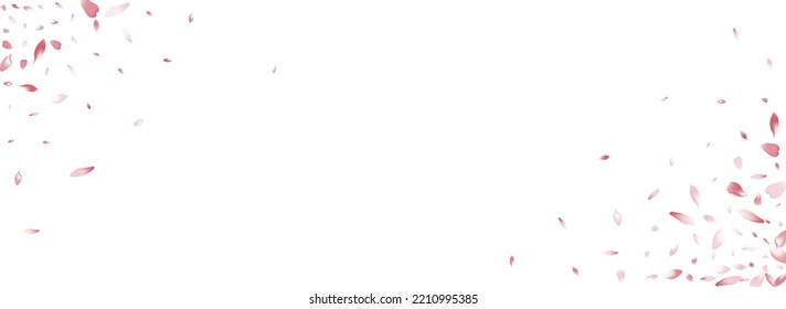 Pink Apple Petal Vector Panoramic Background. White 3d Peach Petal Banner. Rose Petal Valentine Texture. Romance Lotus Petal Card.