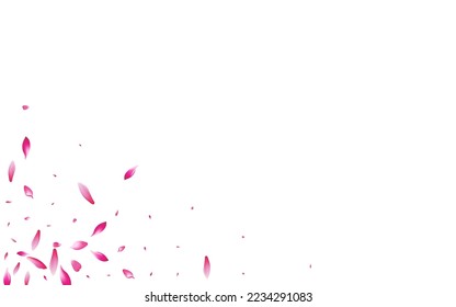 Pink Apple Petal Vector White Background. Transparent Air Sakura Petal Congratulation. Rose Petal Spa Pattern. Valentine Flower Petal Card.