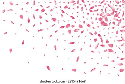 Pink Apple Petal Vector White Background. White Free Peach Petal Banner. Sakura Petal Summer Product. Romantic Cherry Petal Design.