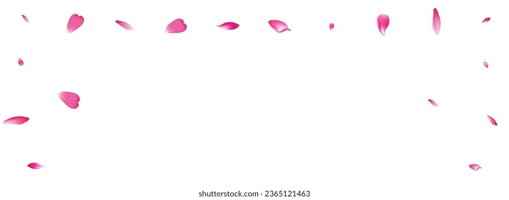 Pink Apple Petal Vector White Background. White Dream Lotus Petal Card. Rose Petal Spa Congratulation. Wedding Cherry Petal Template.