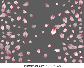 Pink apple petals flying vector greeting card background. Spring falling flower parts confetti, blossom elements celebration design. Elegant flower blossom petals banner vector background.