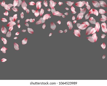 Pink apple petals flying vector greeting card background. Spring falling flower parts confetti, blossom elements april design. Elegant flower blossom petals vector poster background.