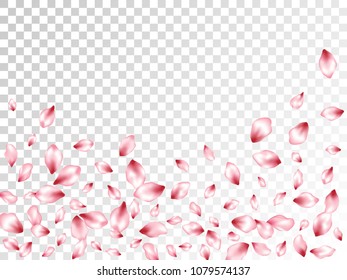 Pink apple petals flying vector invitation background. Spring falling flower parts confetti, blossom elements celebration design. Beautiful flower blossom petals on transparent background design.