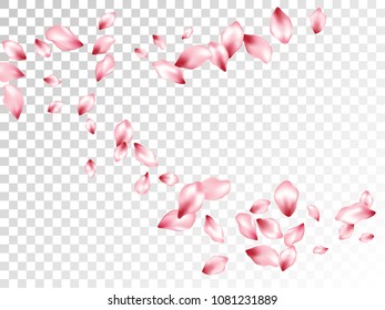 Pink apple petals flying vector floral background. Spring falling flower parts confetti, blossom elements seasonal design. Decorative flower blossom petals background illustration.