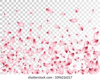 Pink apple petals flying vector spa background. Spring falling flower parts confetti, blossom elements floral design. Romantic flower blossom petals background pattern.
