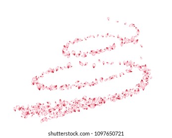 Pink apple petals flying vector beauty salon background. Spring falling flower parts confetti, blossom elements april design. Windy flower blossom petals card vector background.