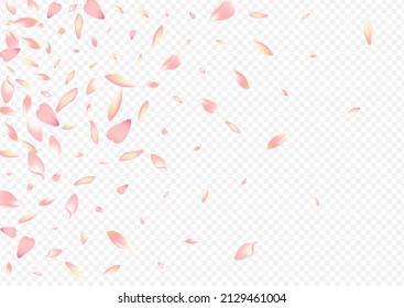 Pink Apple Vector Transparent Background. Rosa Falling Banner. Bloom Soft Illustration. Petal March Backdrop. Red Lotus Isolated Template.
