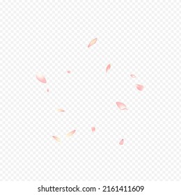 Pink Apple Vector Transparent Background. Heart Soft Backdrop. Peach Springtime Congratulation. Leaf Valentine Template. Bright Rosa Flying Pattern.