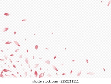 Pink Apple Vector Transparent Background. Petal Dream Template. Sakura Flutter Illustration. Leaf Realistic Texture. Red Tree Rain Pattern.