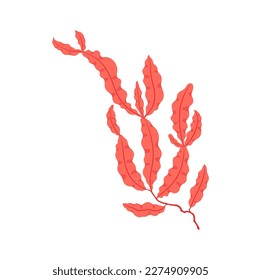 Pink aquarium seaweed branch with leaves, underwater flora plant at sea bottom. Vector aquatic exotic anemone plant. Seabed decoration