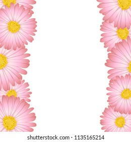 Pink Aster, Daisy Flower Border. Vector Illustration.