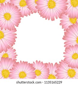 Pink Aster, Daisy Flower Border. Vector Illustration.