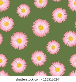 Pink Aster, Daisy Seamless on Green Background. Vector Illustration.