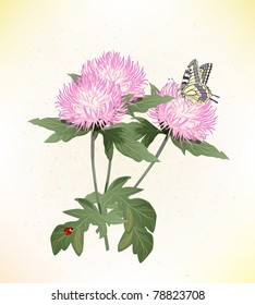 pink asters and butterfly