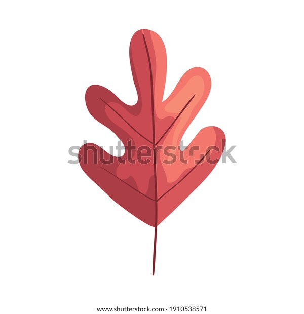 pink autumn leaf plant foliage icon vector illustration design