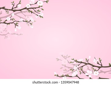 Pink background with blossoming magnolia branches