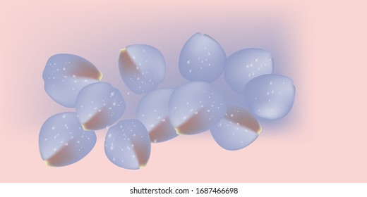 fondo rosa de pétalos de rosa azul.vector