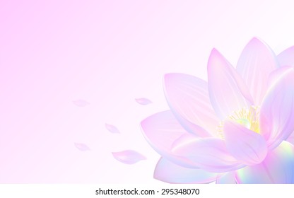 pink background blur with lotus