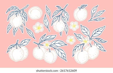 A pink background with a bunch of fruit and flowers. The fruit is orange and the flowers are yellow