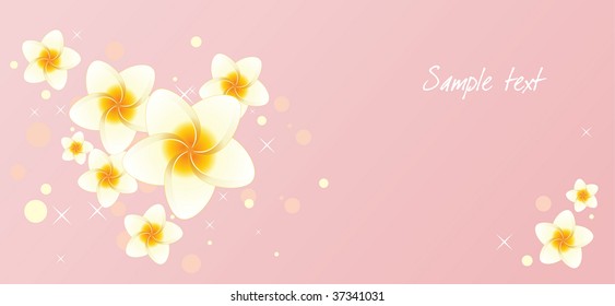 Pink background with frangipani flowers