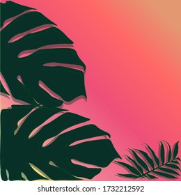 Pink background with large leaves.