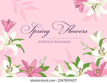Pink background with lillies concept. Spring flowers cover or banner, poster. Aesthetics and elegance. Bloom and blossom white and pink flowers. Cartoon flat vector illustration