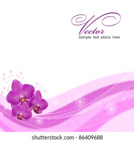 pink background with orchids