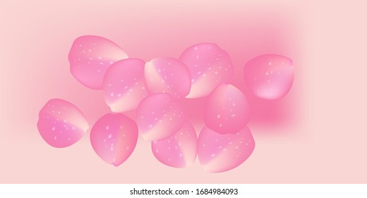  fondo rosa de pétalos de rosa.vector
