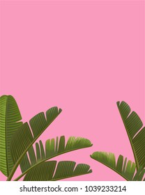 Pink background with tropical leaves. Vector illustration.