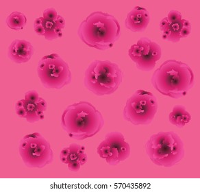 Pink background with watercolor roses and flowers