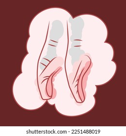 pink ballet shoes, ballerina classic