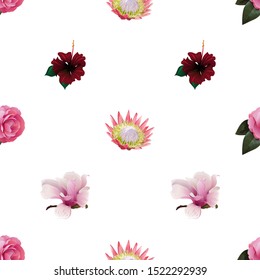 Pink Balsam. Pink Protea. Red Rose Mallow. Pink Magnolia. Vector illustration. Seamless background pattern. Floral botanical flower. Wild leaf wildflower isolated. Exotic tropical hawaiian jungle.