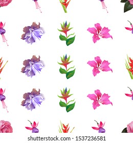 Pink Balsam. Pink and Purple Fuchsia Bella. Red Heliconia Bihai. Violet Clematis. Green bird of paradise. Pink Bauhinia Purpurea. Vector illustration. Seamless background pattern. Floral botanical.