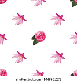 Pink Balsam. Purple Hatiora. Vector illustration. 