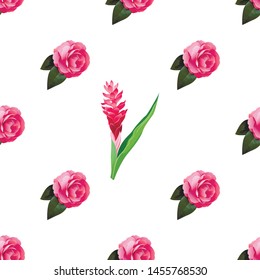 Pink Balsam. Red and Pink Ginger. Vector illustration. 