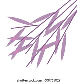 Pink Bamboo Branch