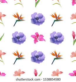 Pink Bauhinia Purpurea. Pink Amaryllis. Red and Pink Ginger. Orange Strelitzia Reginae. Violet Anemone. Vector illustration. Seamless background pattern. Floral botanical flower. Wild leaf.