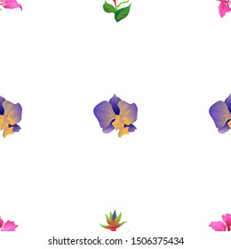 Pink Bauhinia Purpurea. Green bird of paradise. Purple Orchid. Vector illustration. Seamless background pattern. Floral botanical flower. Wild leaf wildflower isolated. Exotic tropical hawaiian.