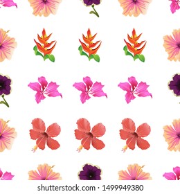 Pink Bauhinia Purpurea. Pink Hibiscus. Violet Petunia. Orange Heliconia. Red Hibiscus. Vector illustration. Seamless background pattern. Floral botanical flower. Wild leaf wildflower isolated.