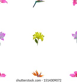 Pink Bauhinia Purpurea. Orange Strelitzia Reginae. Purple Lotus. Yellow Lilium. Vector illustration. Seamless background pattern. Floral botanical flower. Wild leaf wildflower isolated. Exotic.