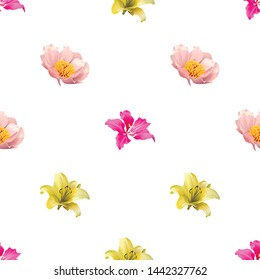 Pink Bauhinia Purpurea. Pink Peony. Yellow Lilium. Vector illustration. 