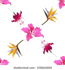Pink Bauhinia Purpurea. Red Fuchsia. Yellow bird of paradise Strelitzia. Vector illustration. Seamless background pattern. Floral botanical flower. Wild leaf wildflower isolated. Exotic tropical.