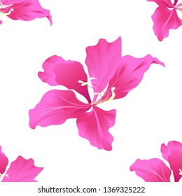 Pink Bauhinia Purpurea. Vector illustration. Floral botanical flower. Wild leaf wildflower isolated. Exotic tropical hawaiian jungle. Seamless background pattern. Fabric wallpaper print texture.